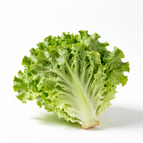 Vegetables