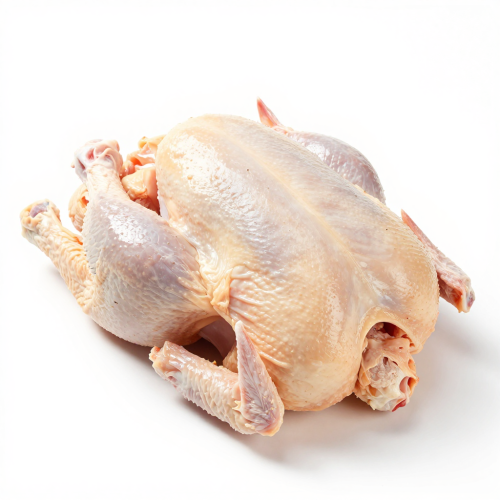 Poultry 