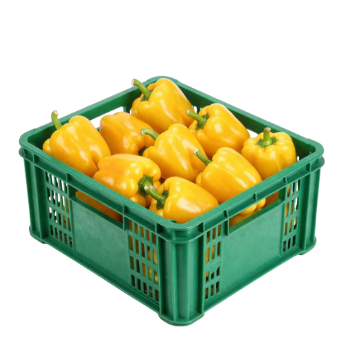 Yellow Bell Pepper