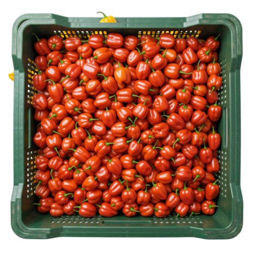 Super Habanero