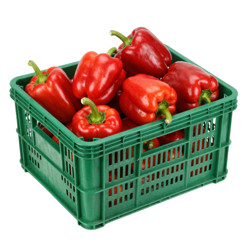 Red Bell Pepper